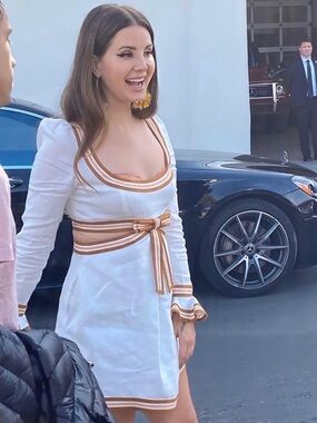 Zimmermann White Dress with Brown Trim